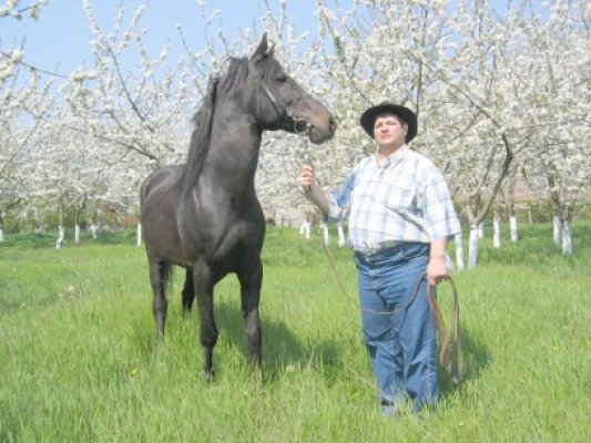 Fostul şef de la Herghelia Mangalia, candidatul PNŢCD la Primăria Cobadin